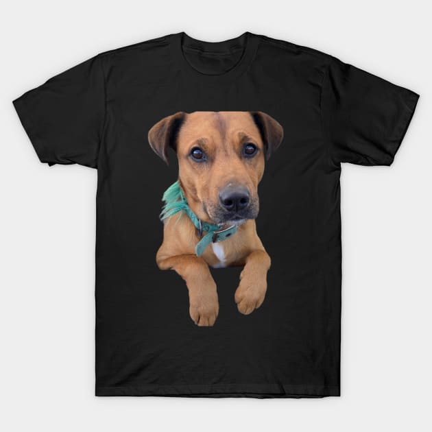 Arthur the dog T-Shirt by chiefOP